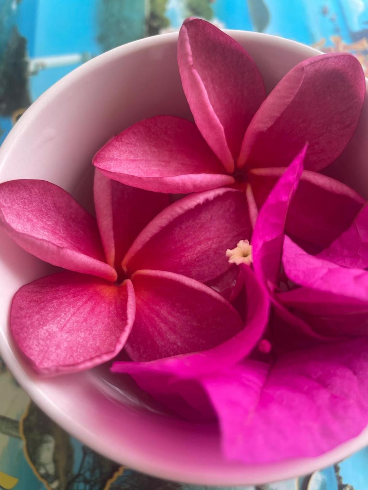 Studio Hibiscus Anse Des Rochers Saint Francois 외부 사진